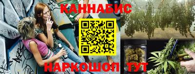 МДПВ Гусев