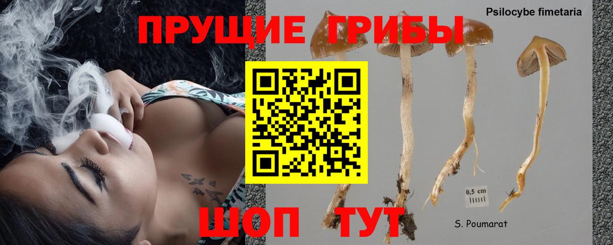 Галлюциногенные грибы Cubensis Лысьва